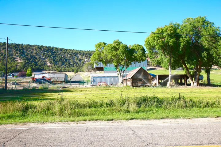 View of yard featuring an outbuilding