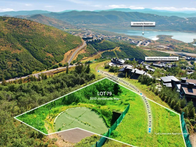 Expansive lot featuring green space and mountain scenery