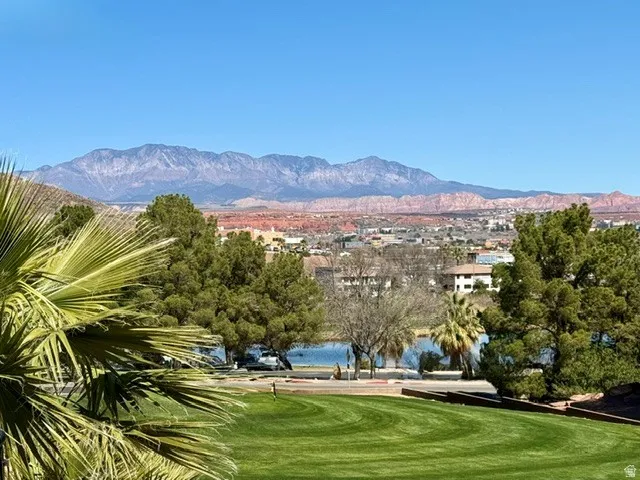 Manicured lawn with mature palm and evergreen trees, and city backdrop framing the property's outdoor living space