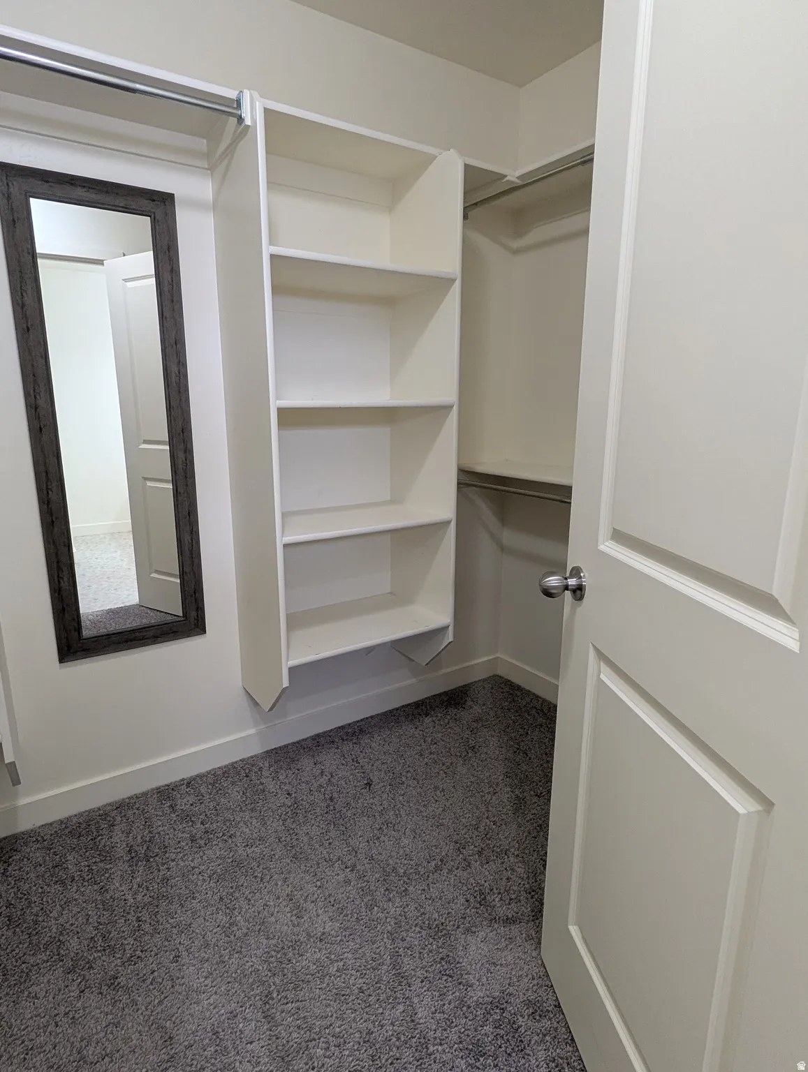 Walk in closet featuring light colored carpet