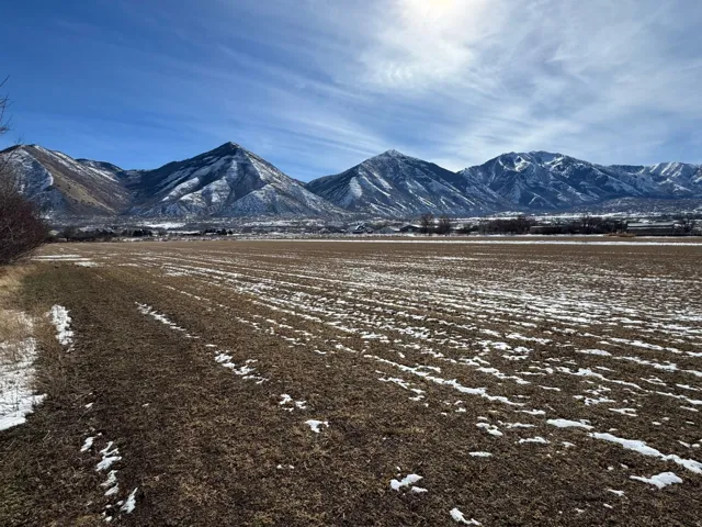View of mountain background