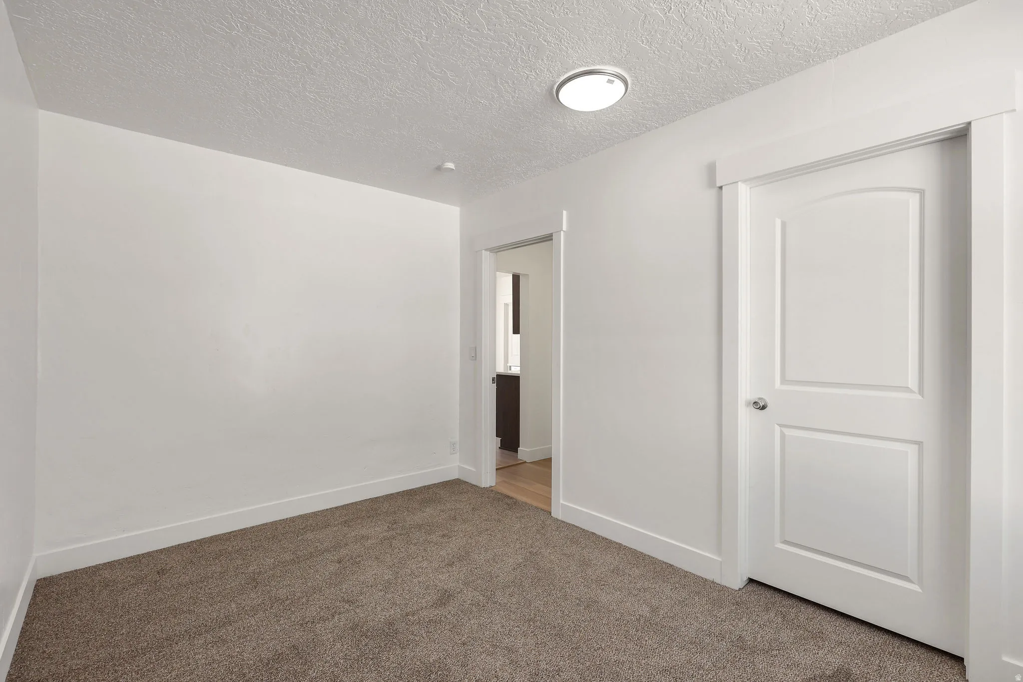 Unfurnished bedroom featuring carpet flooring, a textured ceiling, and a closet