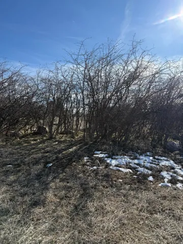 View of undeveloped land