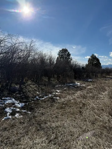 View of undeveloped land