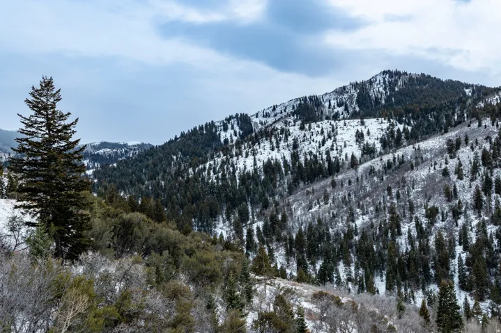 7331 Pine Ridge Dr, Park City, Utah 84098