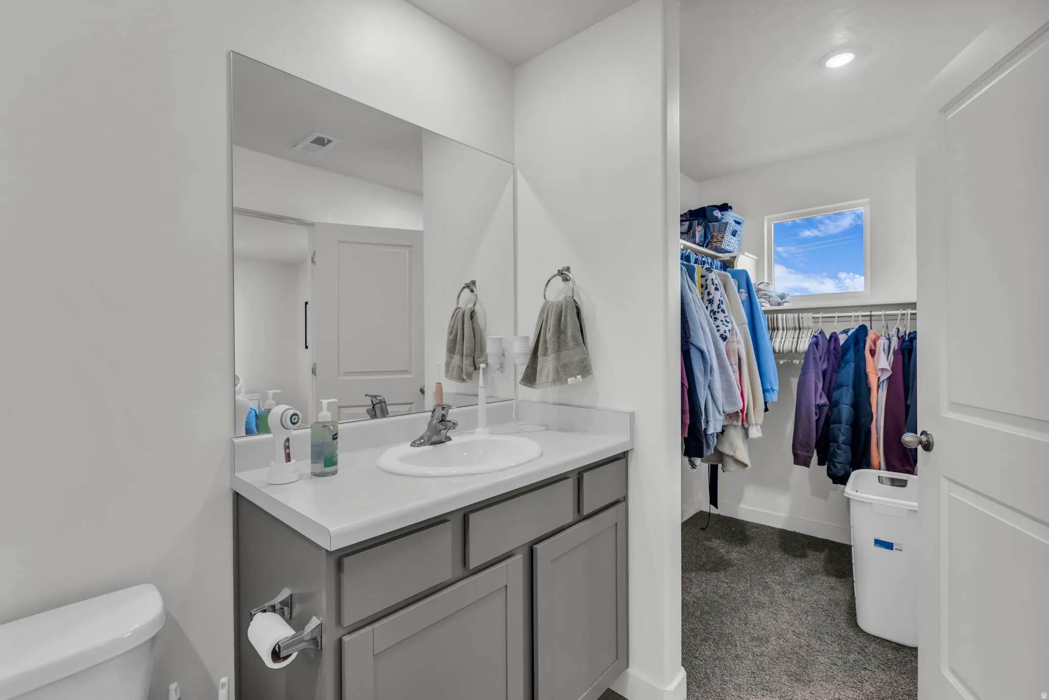 Bathroom with vanity and a walk in closet