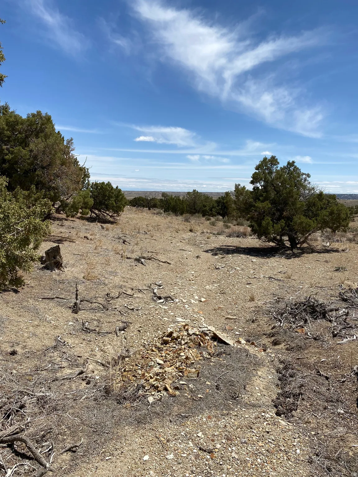 View of nature featuring rural landscape