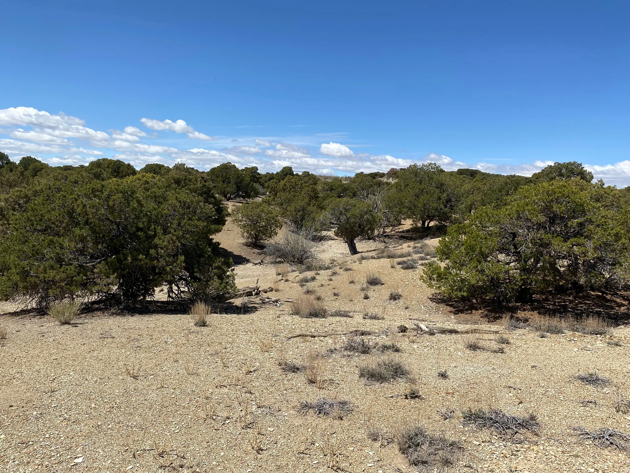 View of nature featuring rural landscape