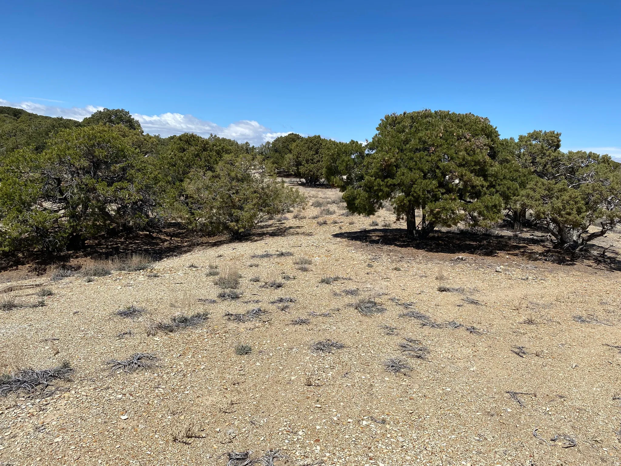 View of undeveloped land featuring rural landscape