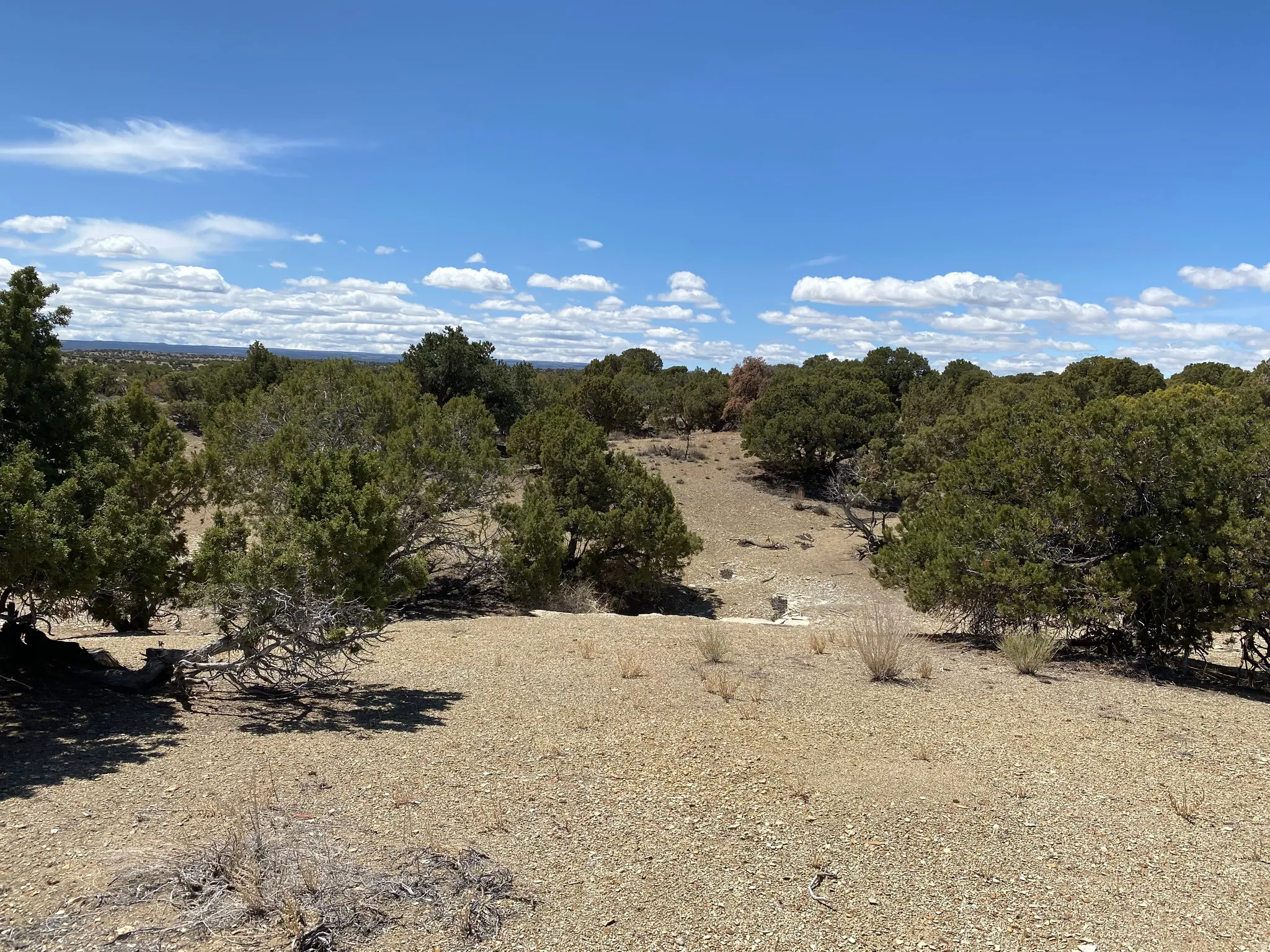 View of undeveloped land