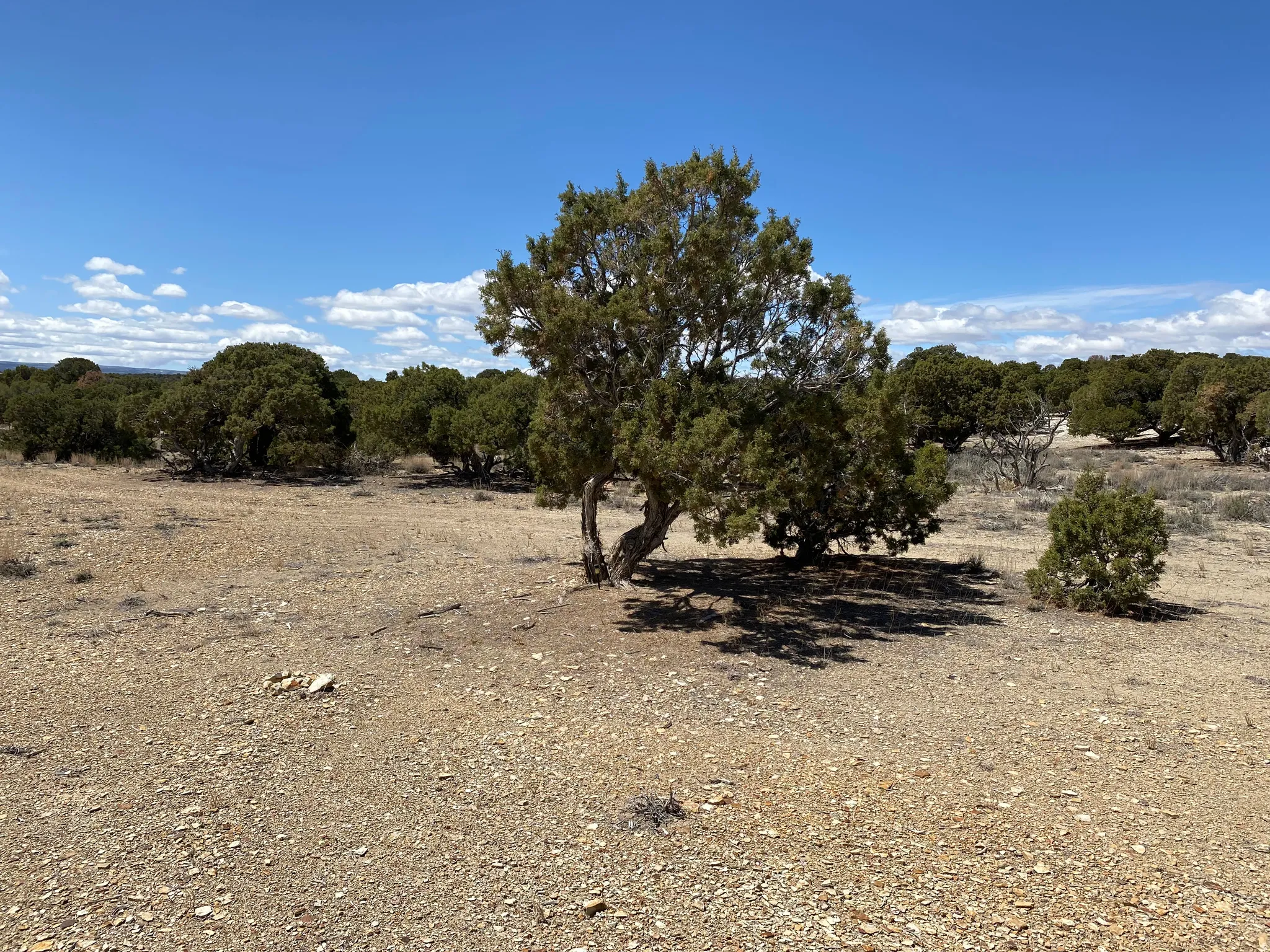 View of nature with rural landscape