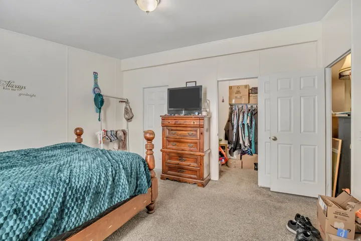 Bedroom featuring carpet and a walk in closet