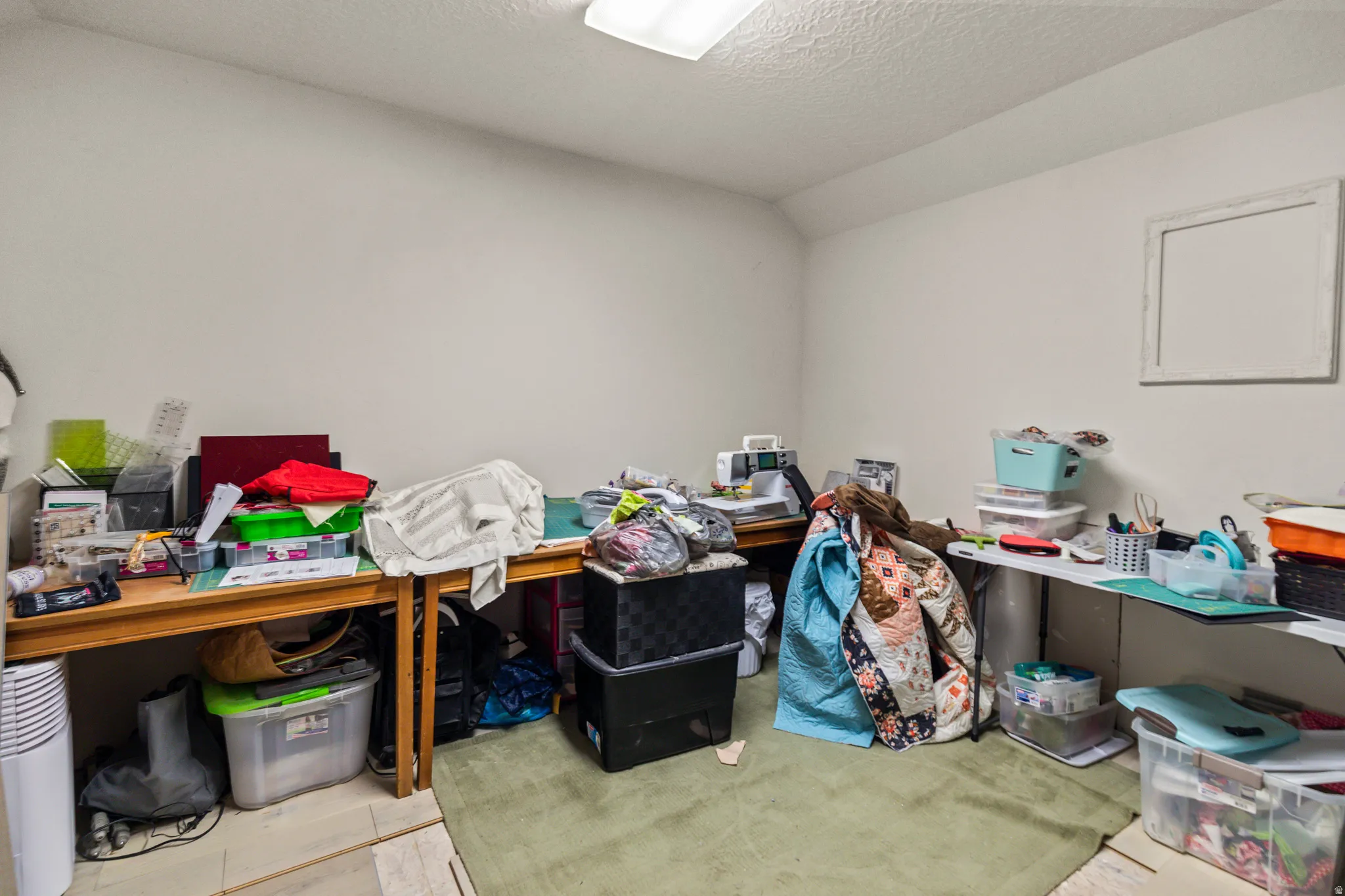 Miscellaneous room with light carpet