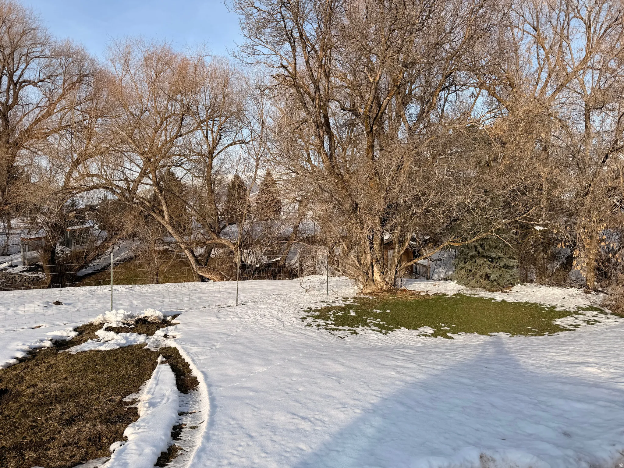 View of yard layered in snow
