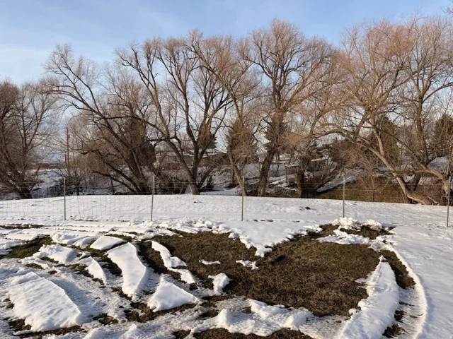 View of yard covered in snow