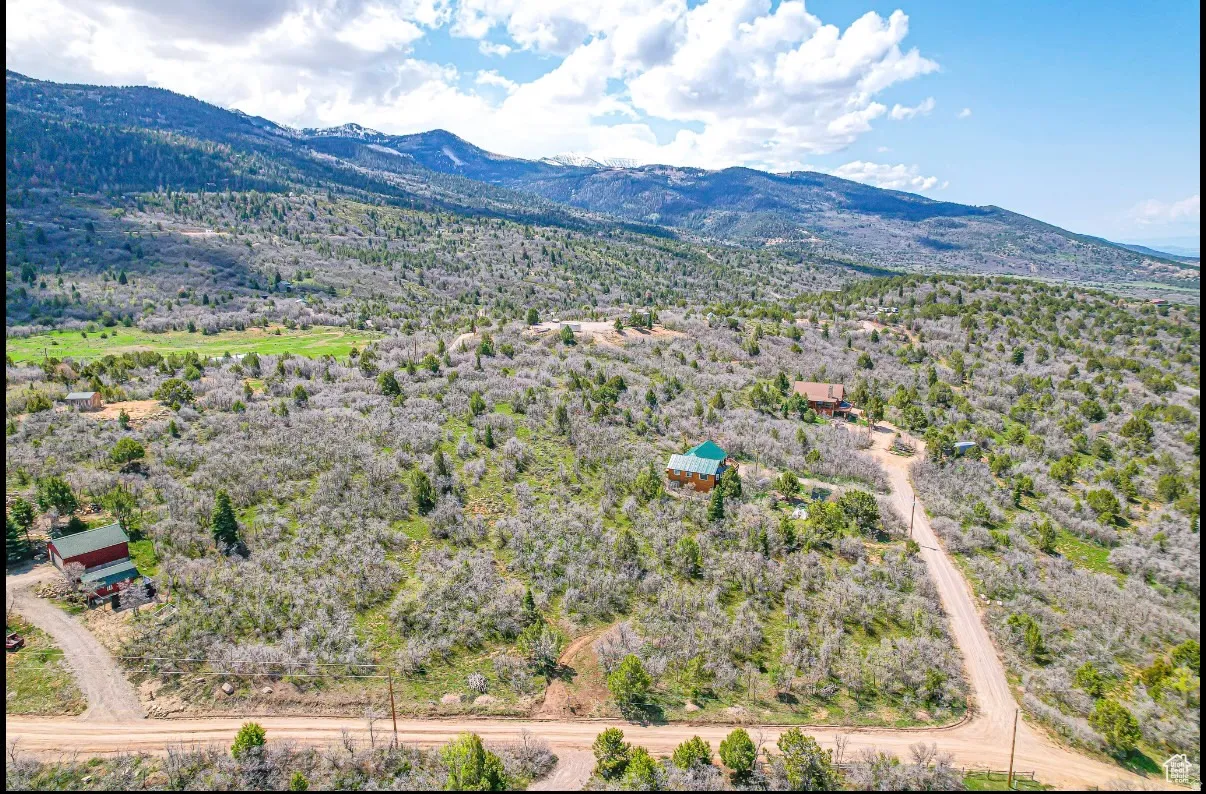 Aerial view of a mountain backdrop