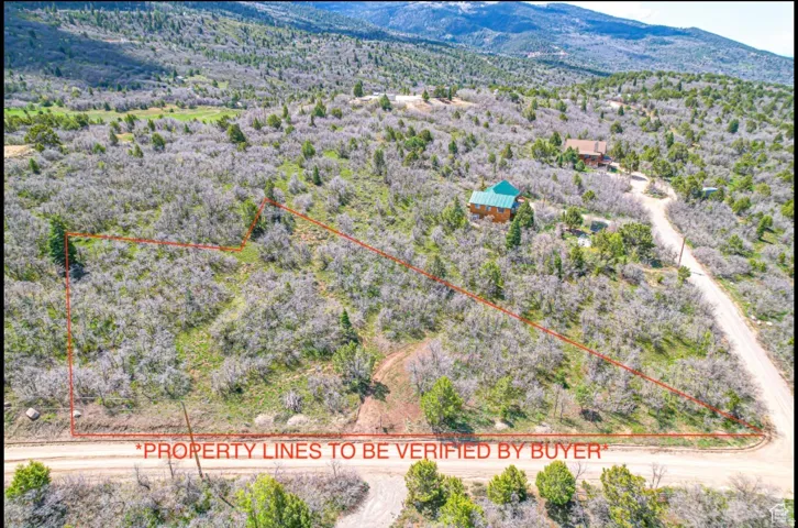 View of property location with property parcel outlined and a mountain backdrop