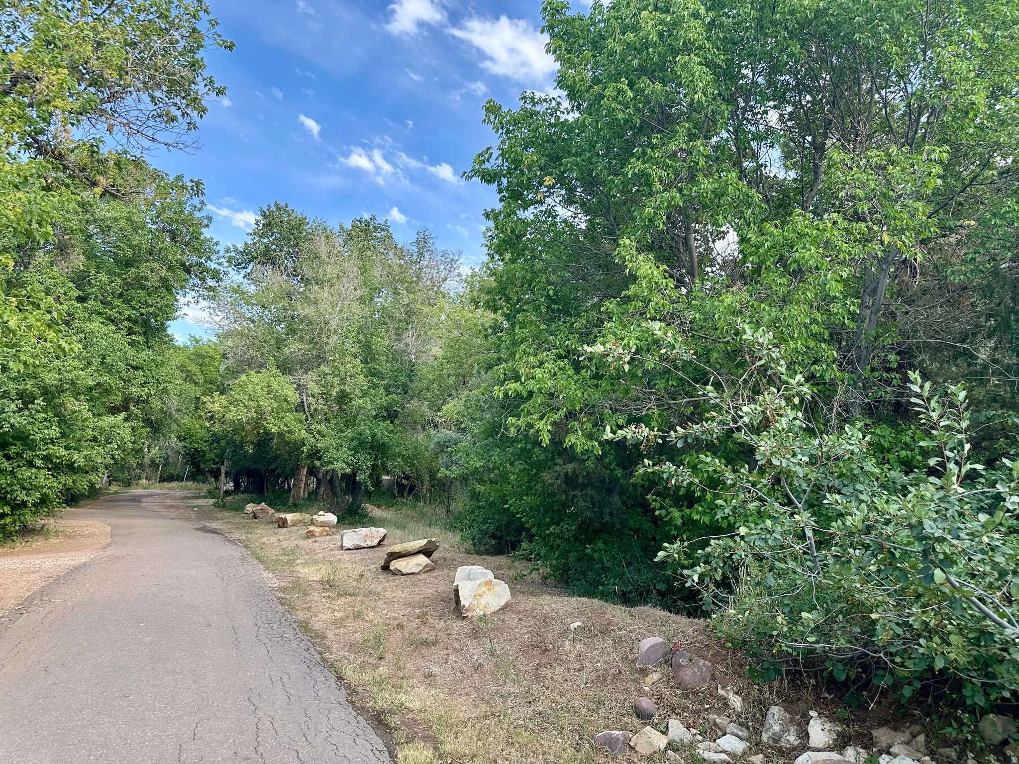 View of asphalt road
