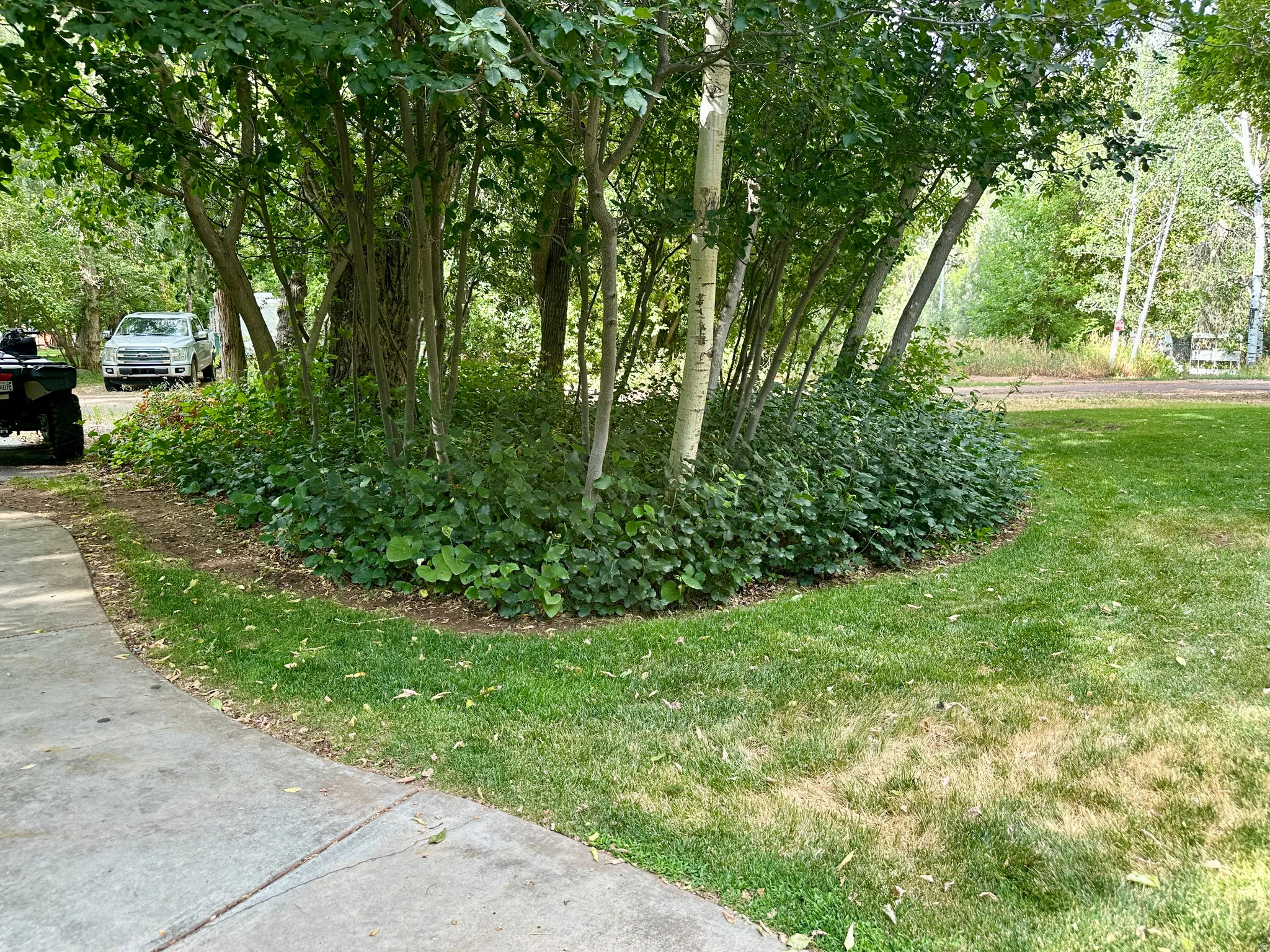 View of grassy yard