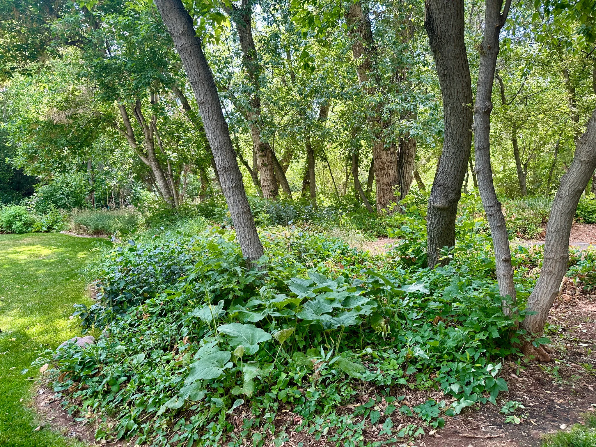 View of local wilderness