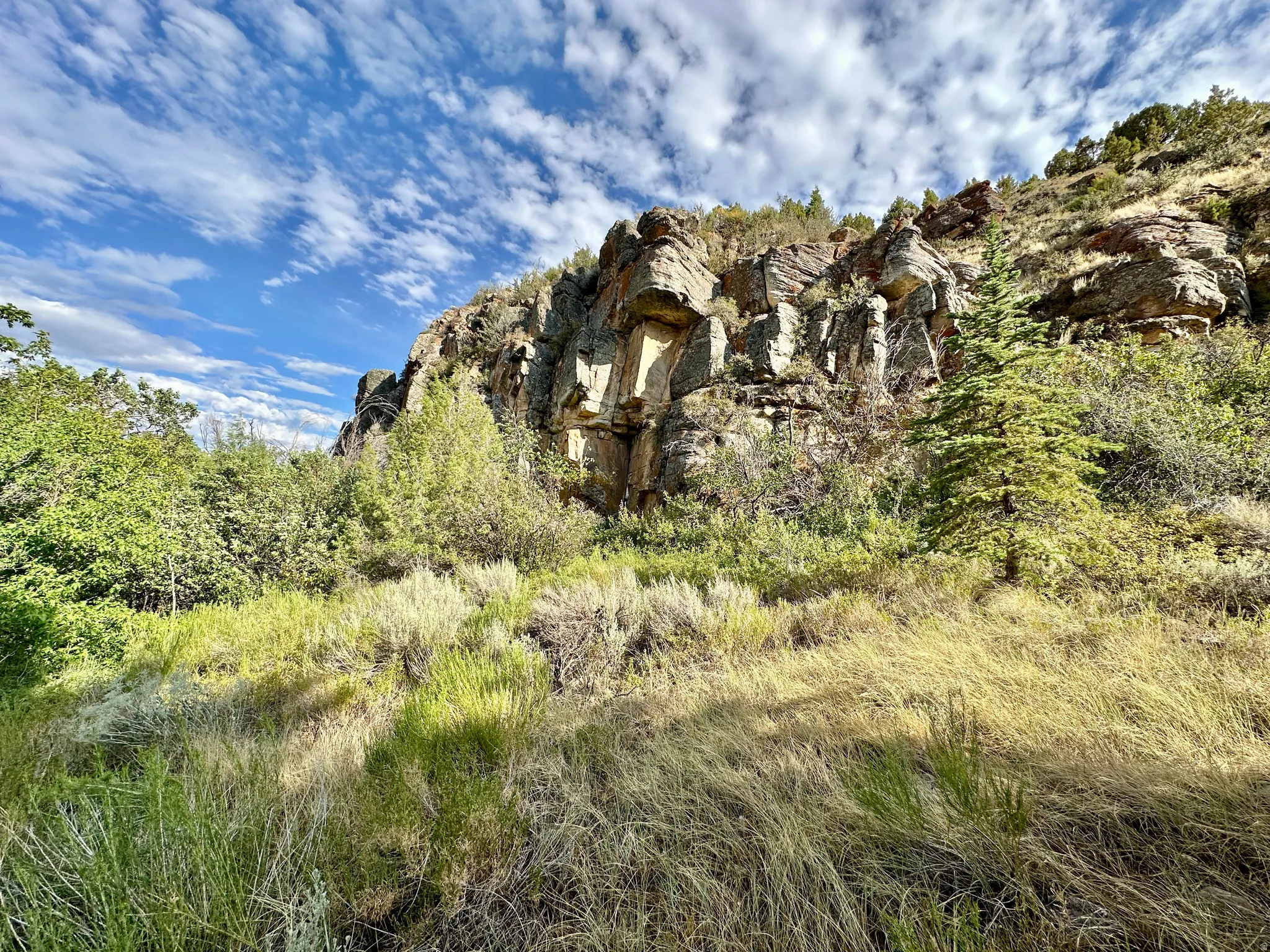 View of mountain background