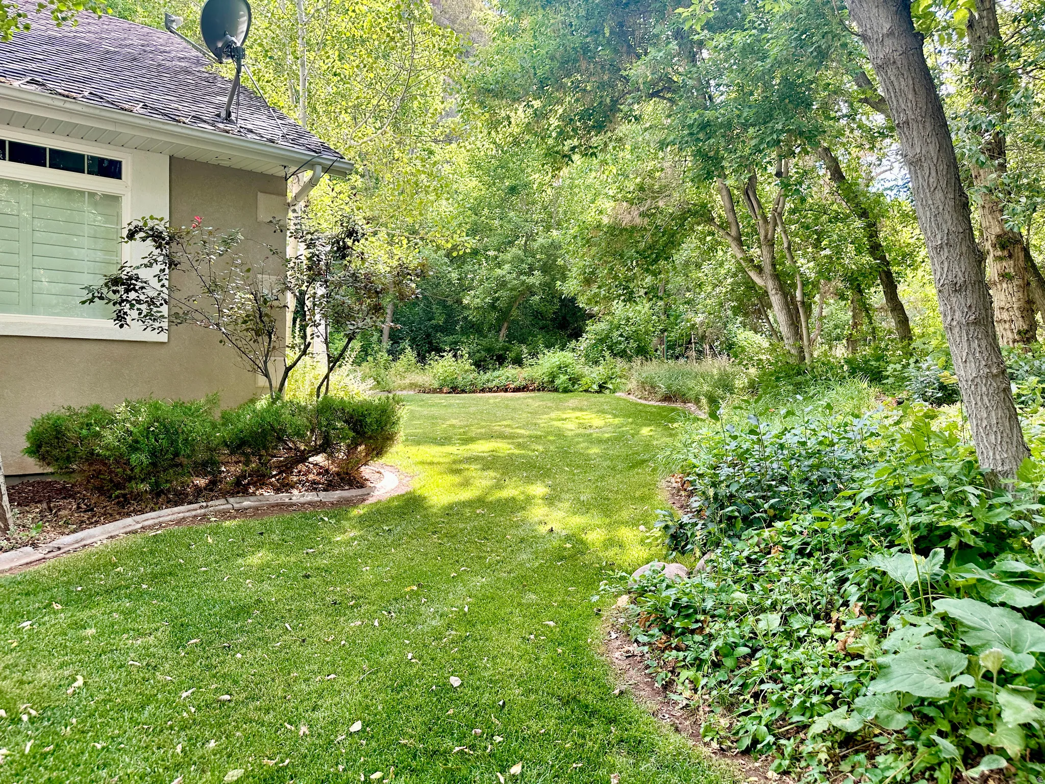 View of green lawn