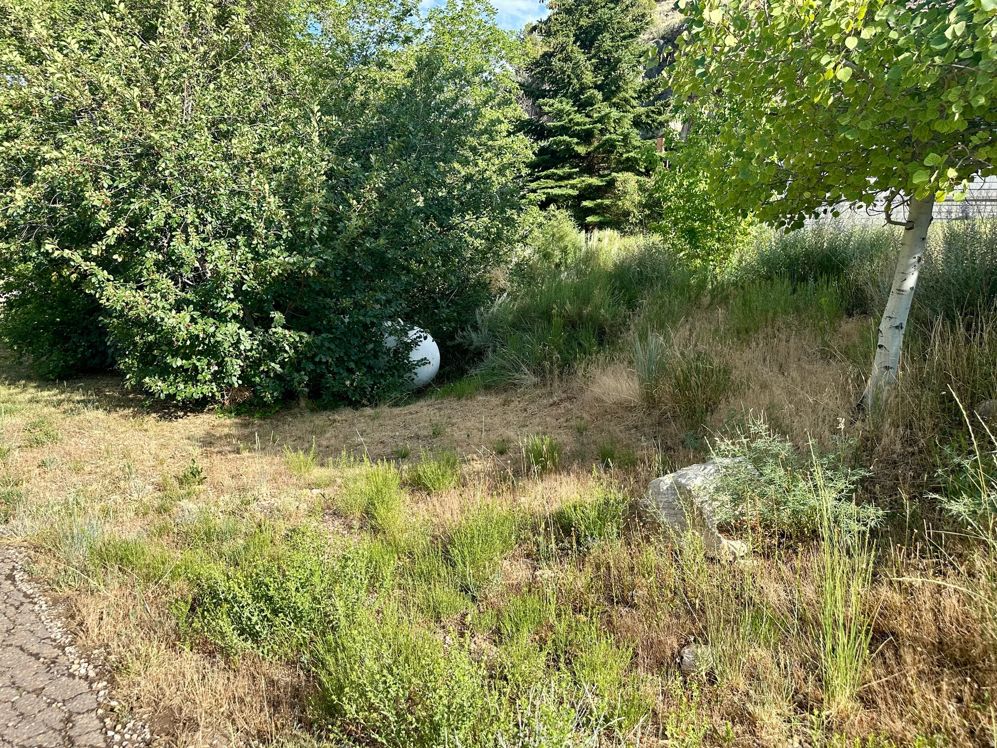View of nature