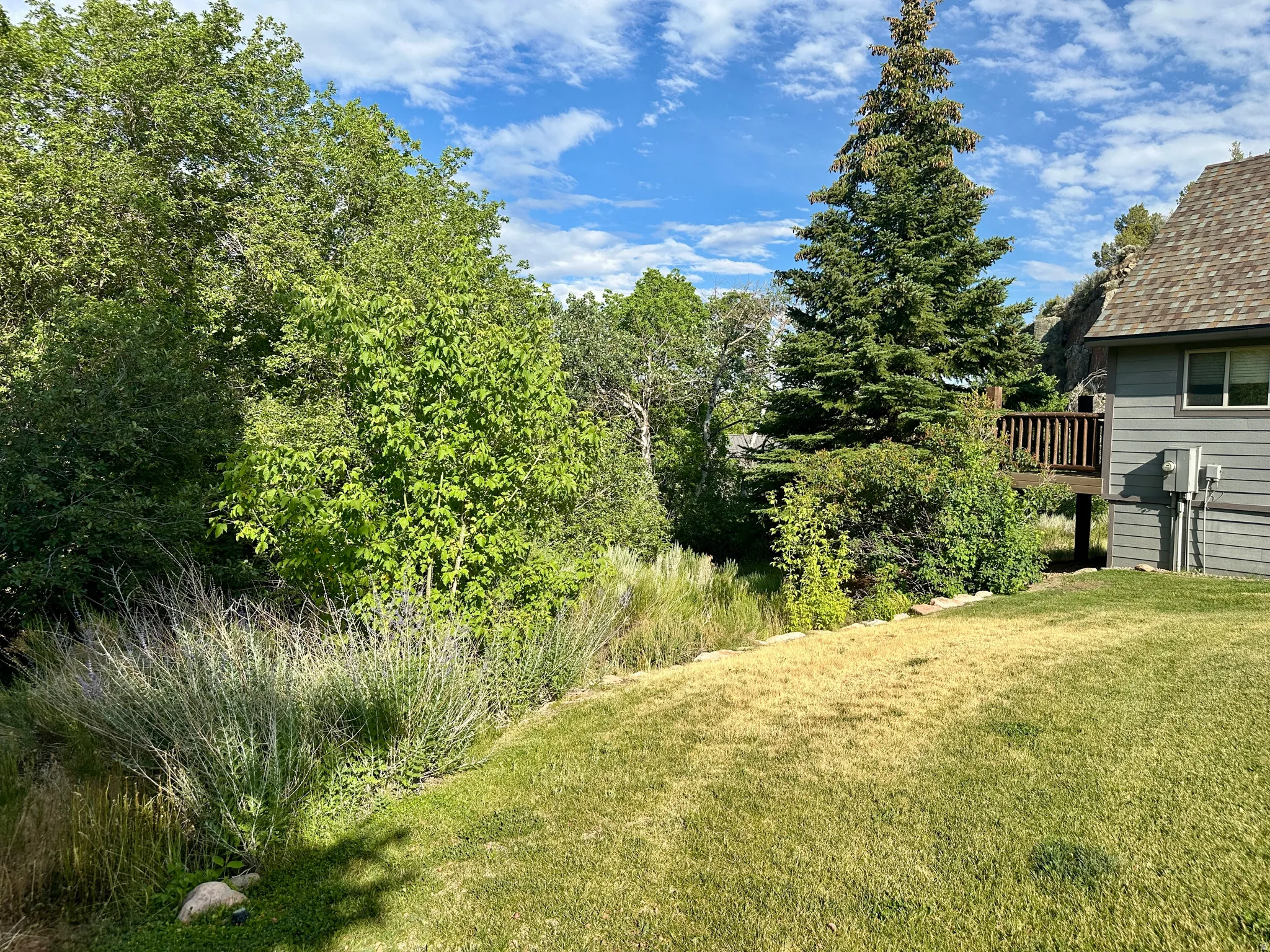 View of green lawn