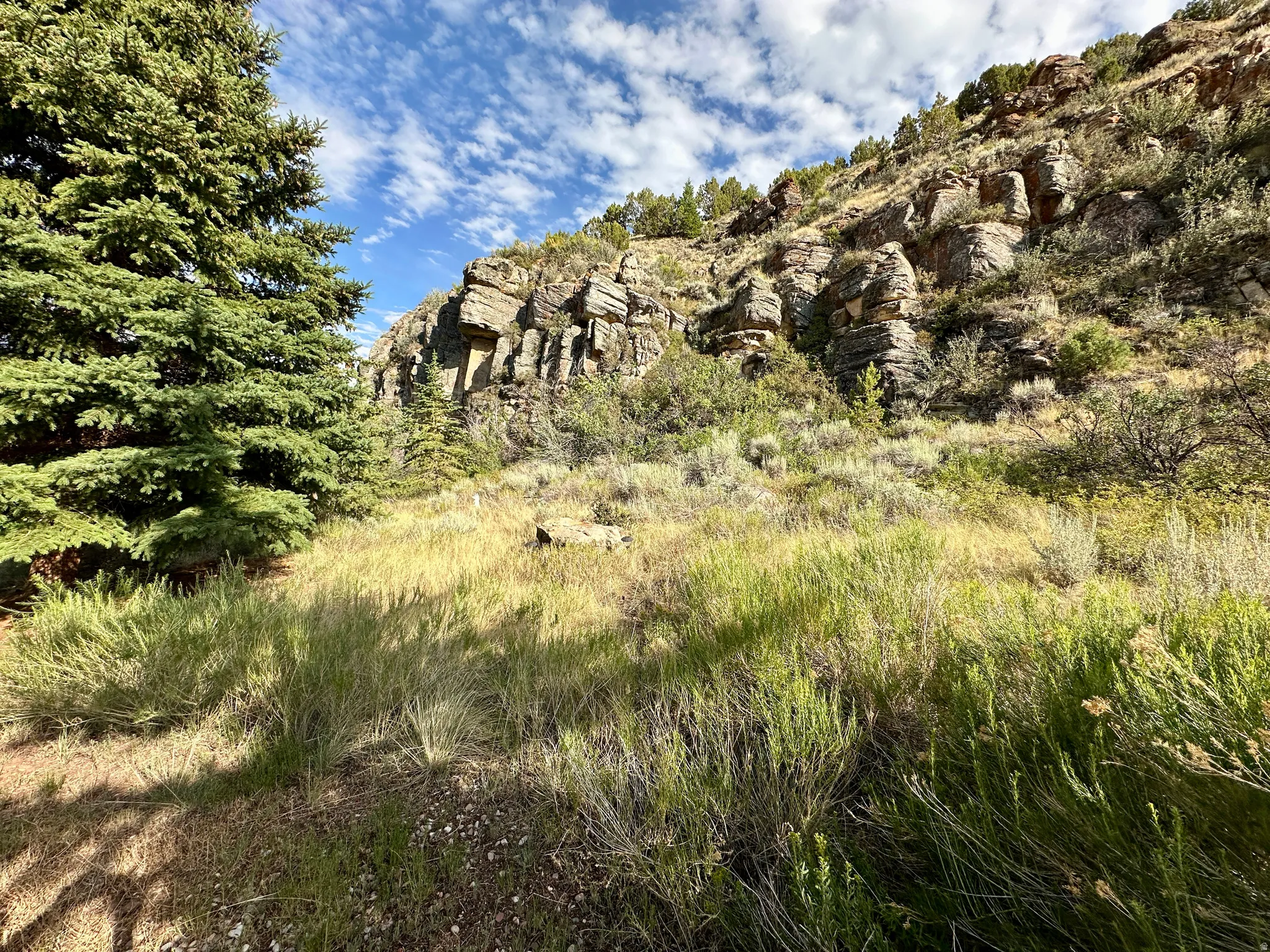View of nature