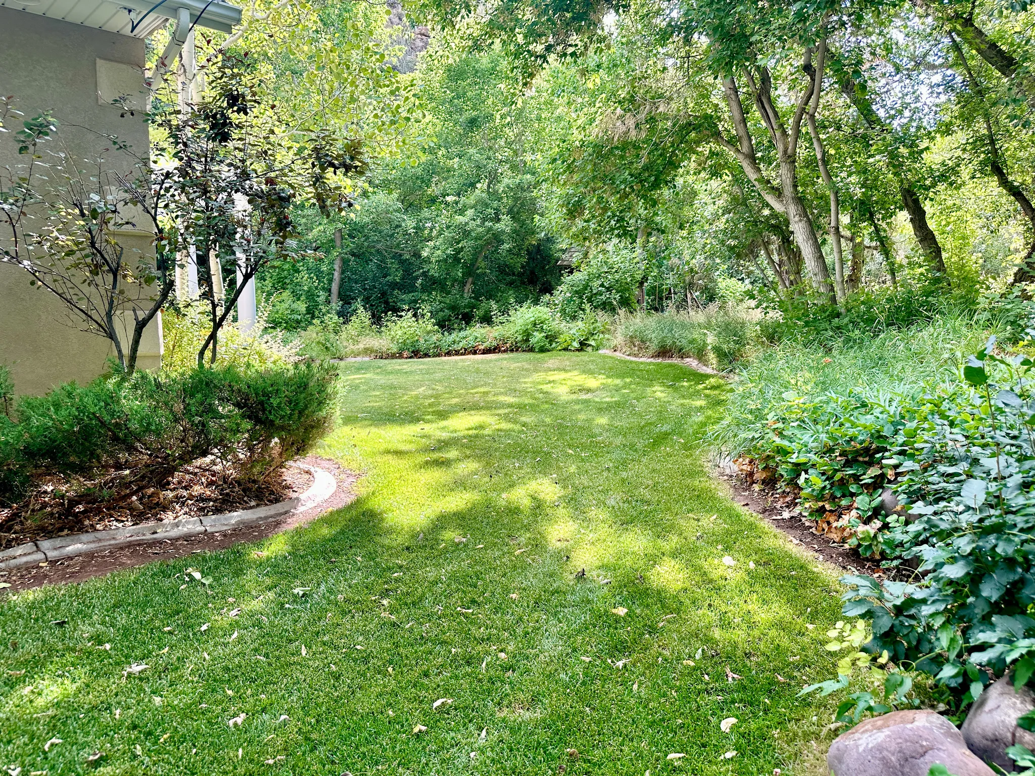 View of green lawn