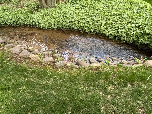 Creek runs through the property