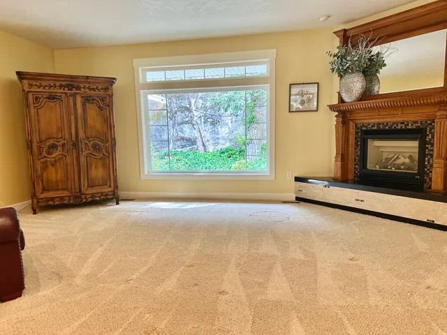 Gas fireplace