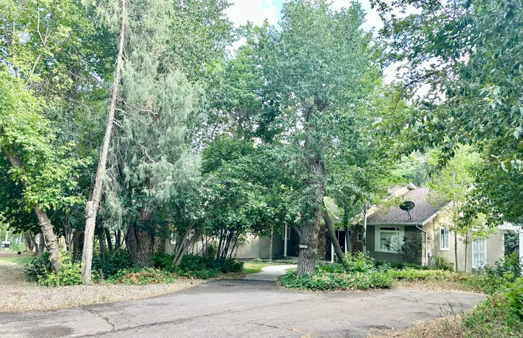 Gorgeous yard