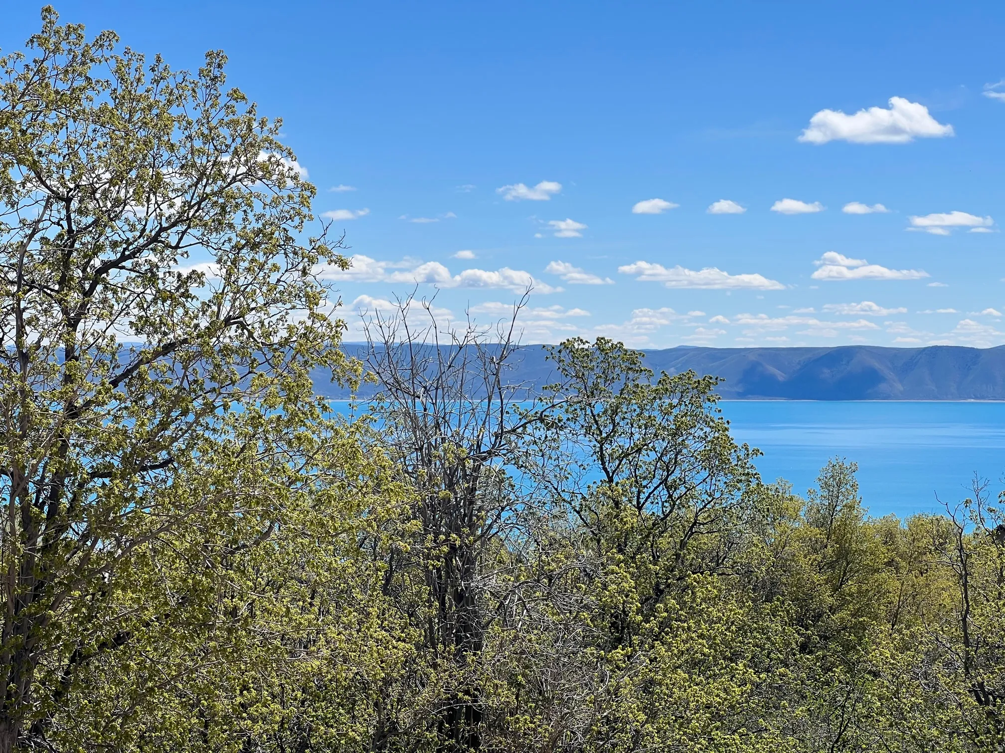 Water view with a mountainous background