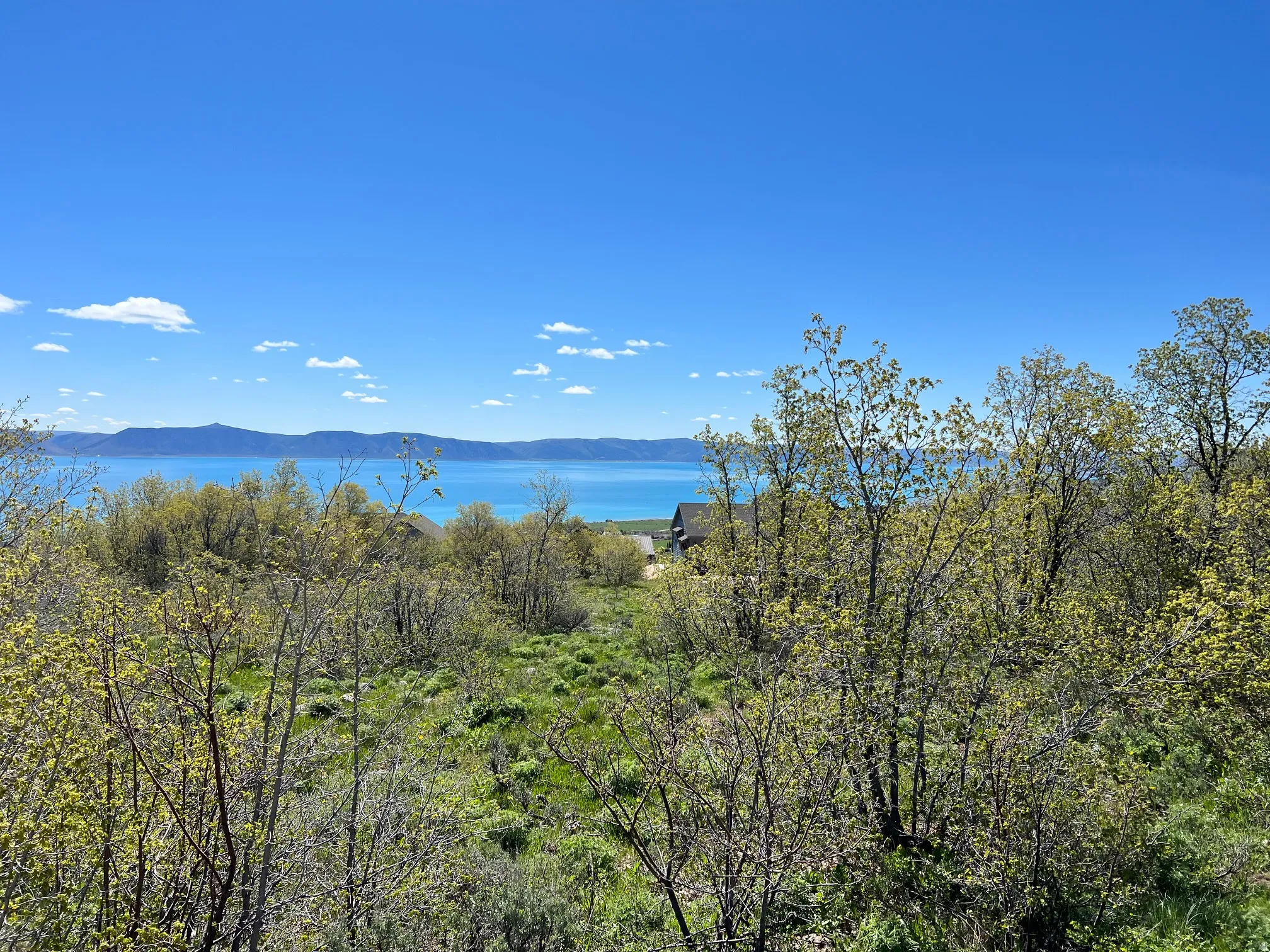 Water view featuring a mountainous background