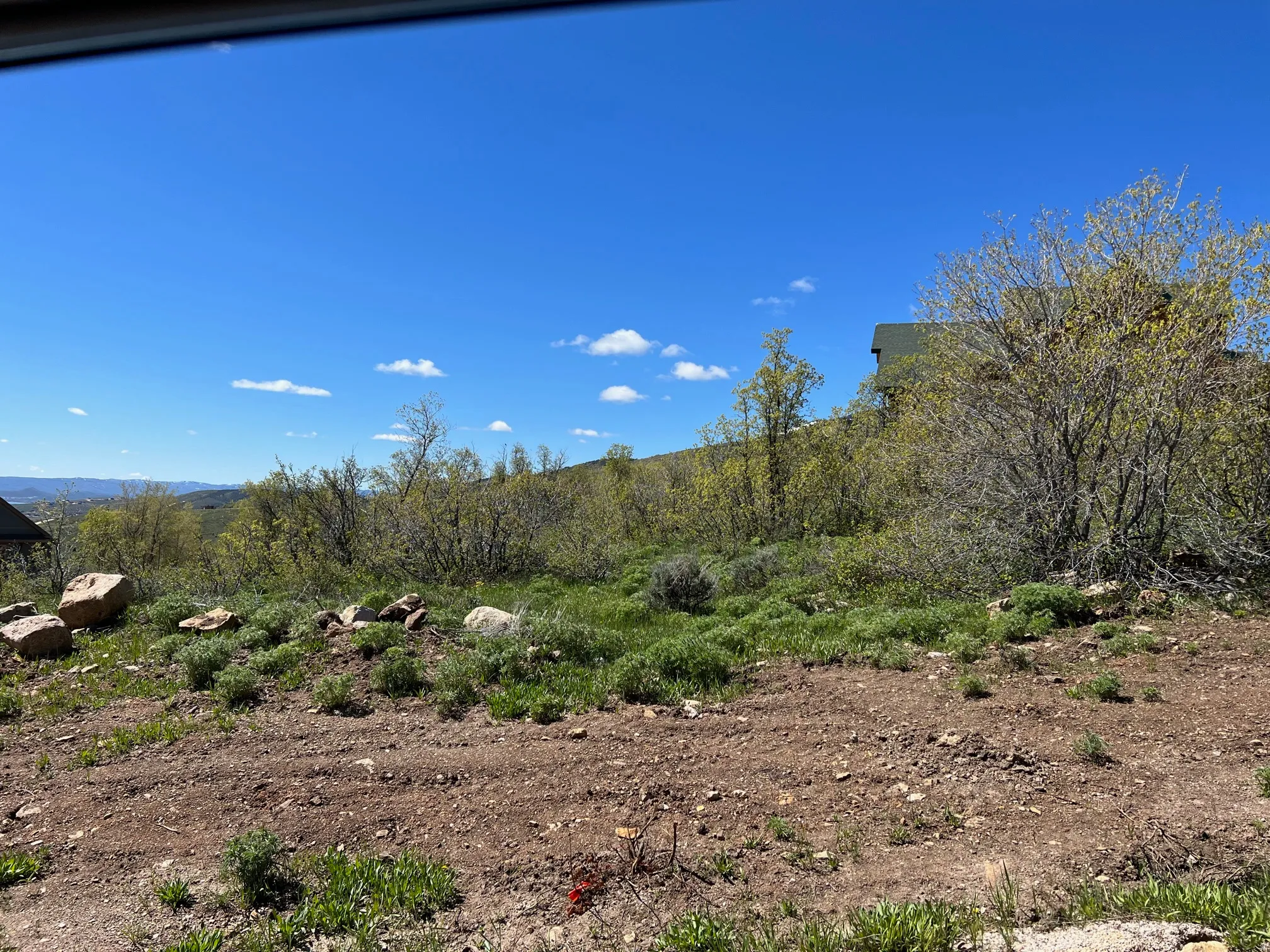 View of nature