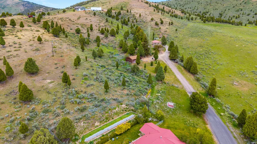 Expansive hillside property featuring mature evergreen trees and natural vegetation