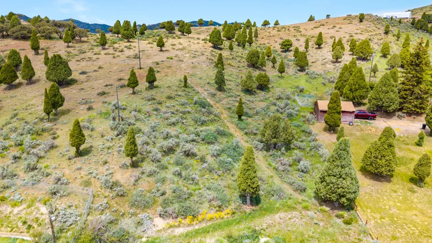 Expansive acreage featuring rolling hills, abundant mature trees, and natural vegetation