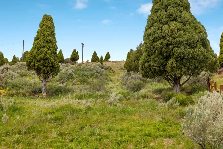 Expansive natural landscape featuring varied green foliage, mature trees, and an undulating terrain