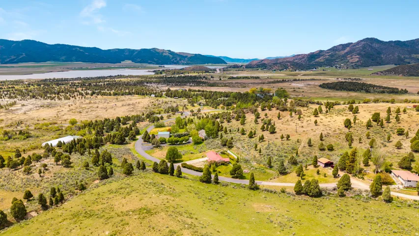Expansive property featuring rolling hills, mature trees, a paved driveway, and multiple residential structures