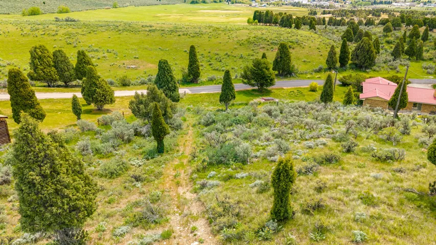 Expansive natural landscape featuring abundant mature evergreen trees and varied shrubbery