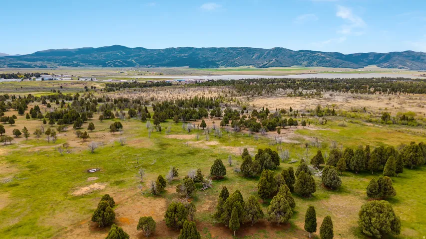 Expansive land parcel featuring varied terrain with a mix of evergreen trees and open grassy areas