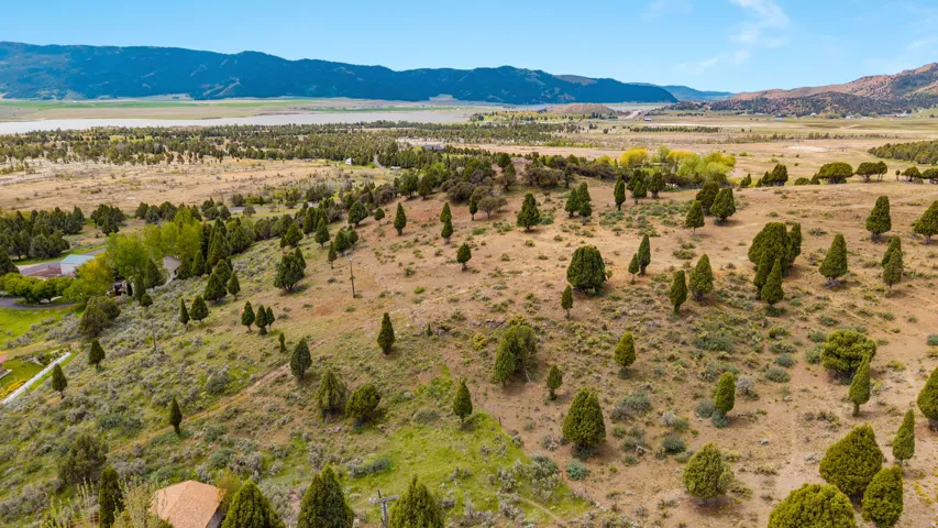 Expansive natural landscape featuring scattered evergreen trees and varied vegetation