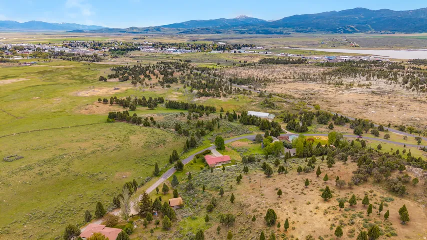 Expansive rural landscape featuring a mix of mature evergreen trees and green pastureland