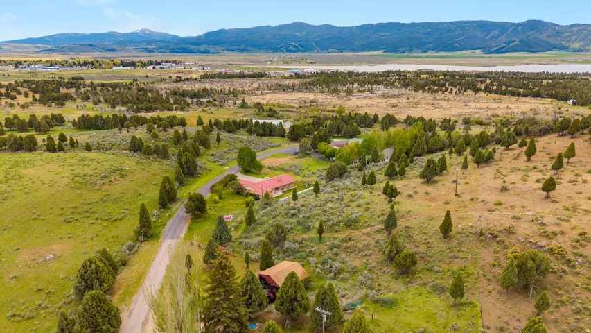 Expansive acreage featuring a private driveway, scattered evergreen trees, and a distant mountain range