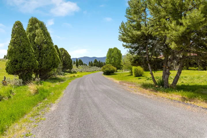 Gravel driveway bordered by manicured lawns, mature evergreen trees, and distant hills