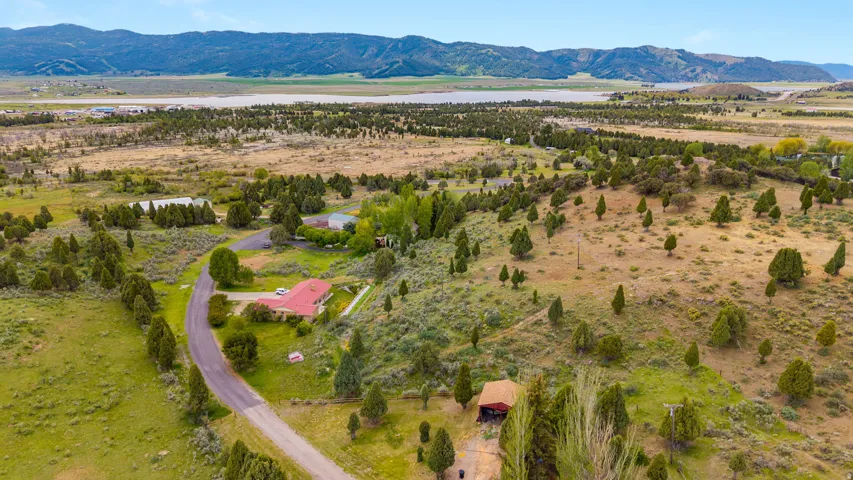 Expansive rural landscape featuring a winding paved road, scattered evergreen trees, and distant mountains