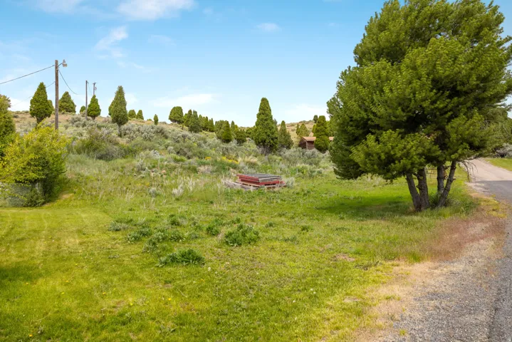 Expansive property featuring varied terrain with a level grassy area, mature trees, natural vegetation, and a gravel driveway