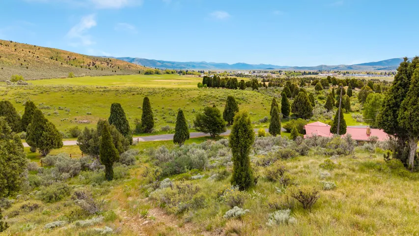 Expansive rural acreage featuring a verdant landscape and distant mountains