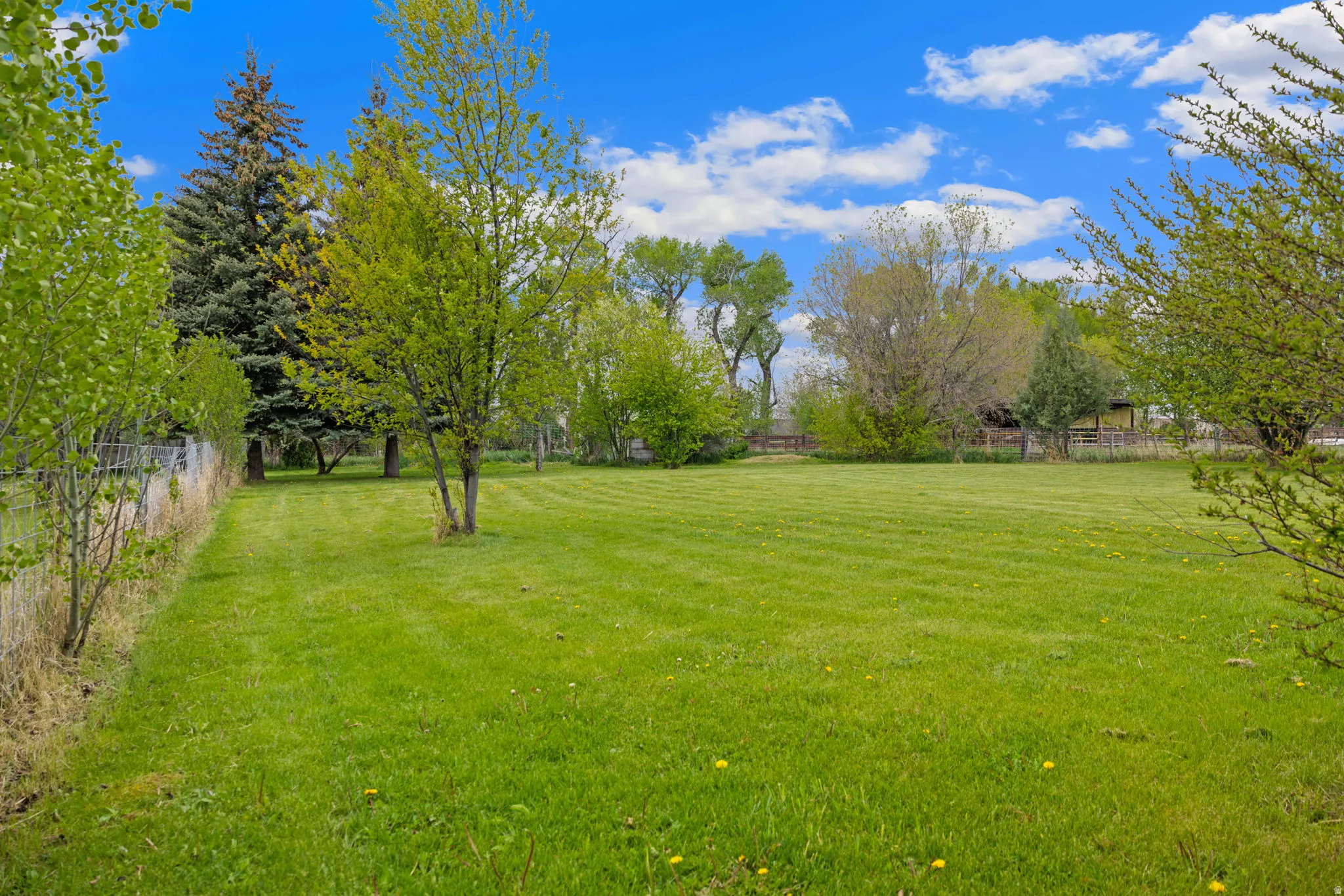 Expansive green lawn with mature trees and perimeter fencing